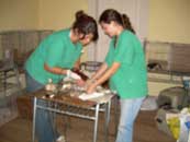 Despu&eacute;s de la operaci&oacute;n