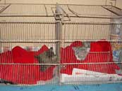 Despu&eacute;s de la operaci&oacute;n