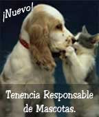 Para una tenencia responsable de mascotas
